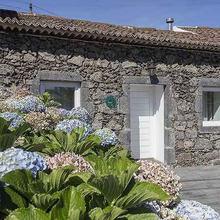 カペラス Casa Do Campo - A Minha Casaヴィラ エクステリア 写真